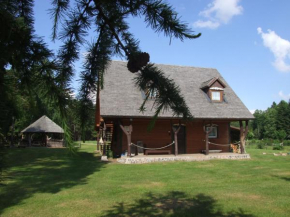 Apartament Janewiczówka D